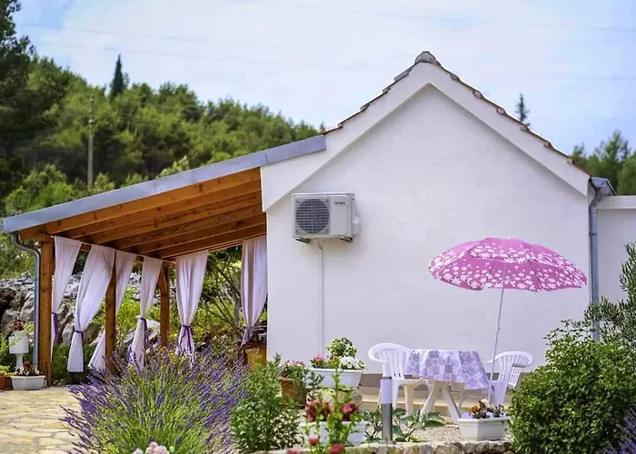 House Marie's Lavander Dream Raslina